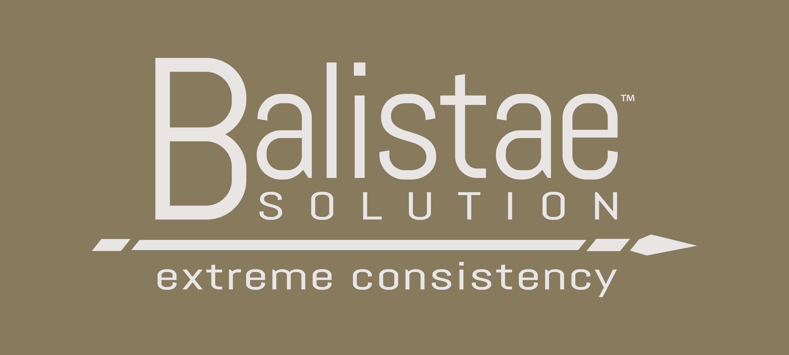 balistaesolution.com